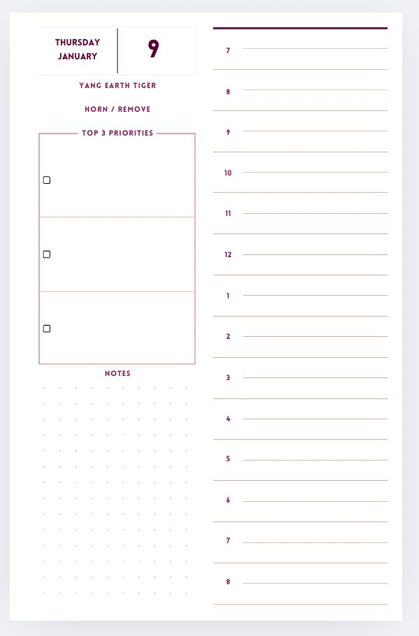 Daily Timeline format